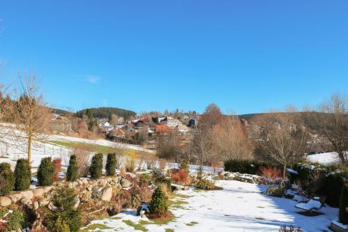 Wolfsgrund Villa und/oder Apartment - Luxus in Seenähe mit tollem Garten