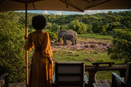Makweti Safari Lodge photo 1