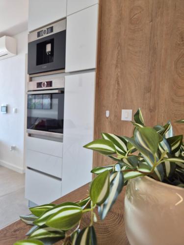 Konyha, SAN Baška Voda - Garage included (SAN Baska Voda - Garage included) in Baska Voda