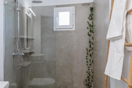 Kleris Apartment 9 Tinos