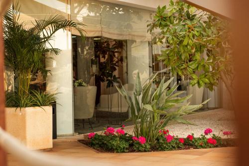 Hotel Capricho - image 13