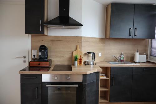 кухня, Hirsch24- 4 Personen Apartment in Ліпштадт