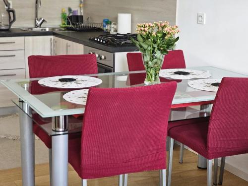 บริการและสิ่งอำนวยความสะดวก, Apartman Britt in ซาวิกา