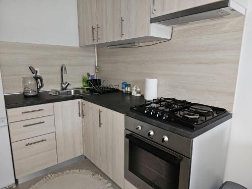 ห้องครัว, Apartman Britt in ซาวิกา
