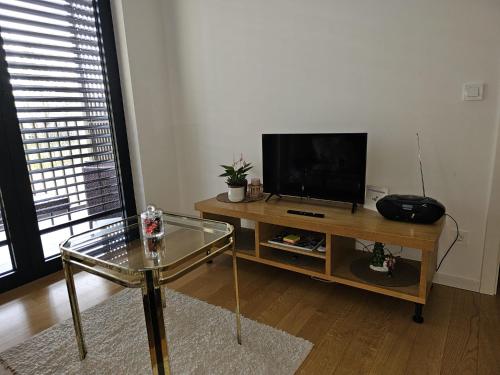 ห้องส่วนกลางสำหรับนั่งเล่น/ดูทีวี, Apartman Britt in ซาวิกา
