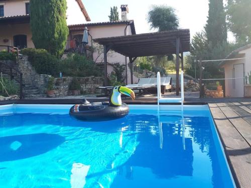 Casale con piscina in collina - Borghi Silenti -