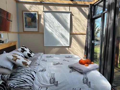 Sky gazer cabin in the woods, Dublin (fotografie 10)