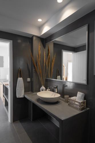 The Vine Suites The Vine Suites