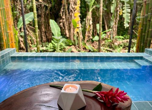 Casa Eden - Modern Peaceful Jungle Apartments in ปุนตาโกเกลส