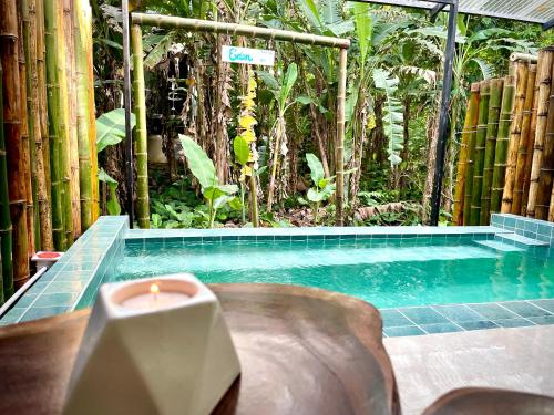 Casa Eden - Modern Peaceful Jungle Apartments in ปุนตาโกเกลส