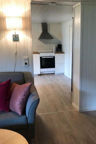 Faciliteiten, Store Ringheim Apartment - Villa Solberg in Vossevangen