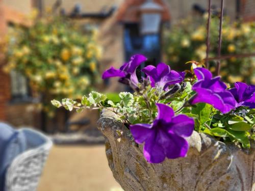 Belle Vue Guest House Belle Vue Guest House