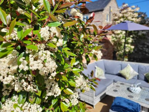 Belle Vue Guest House Belle Vue Guest House