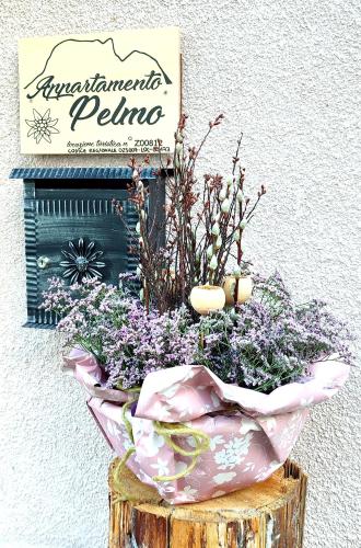 Appartamento Pelmo