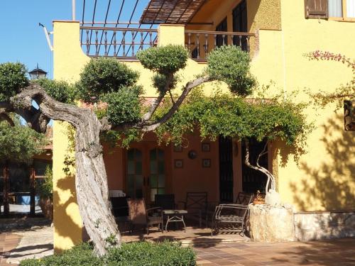 Kilátás, Casa Mola in El Perelló (Catalonia)