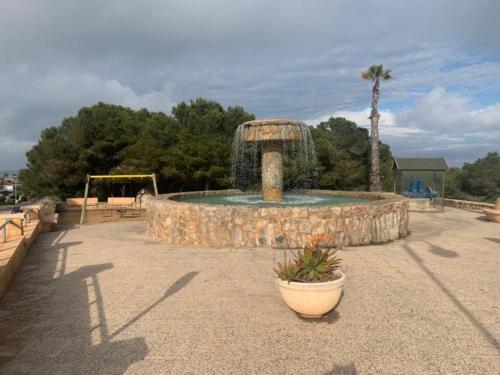 Паркемар, Torrevieja (foto 4)