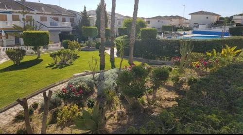 Паркемар, Torrevieja (foto 8)