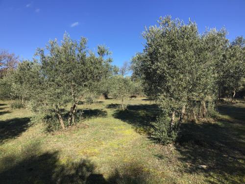 Le Verger – Gordes, UT