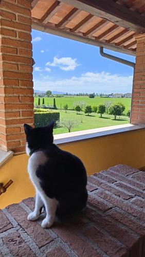 Il Chiassetto - main image