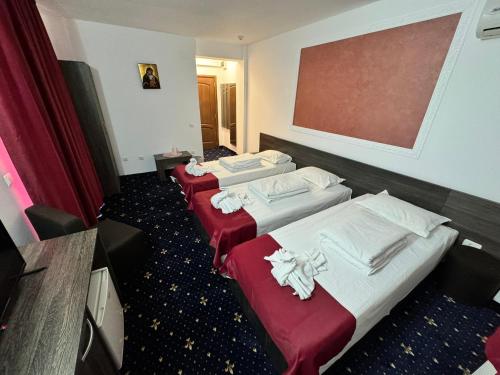 Pensiunea Lebada in Tulcea