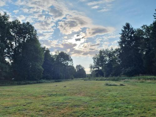 Glamping na samotě u lesa