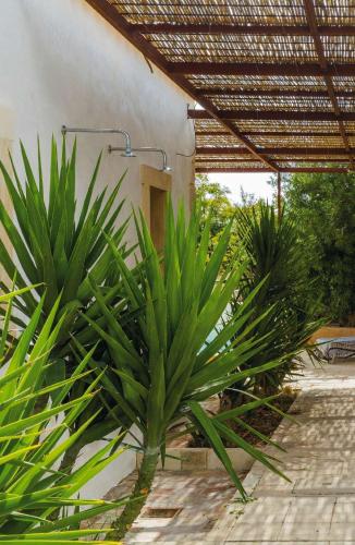 Casa Balat by DomuSicily Room Type - Villa with Private Pool Casa Balat by DomuSicily Room Type - Villa with Private Pool