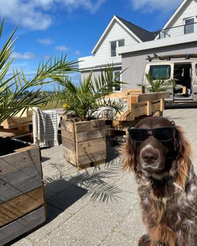 B&B by the Sea Hirtshals, Hirtshals (foto 4)