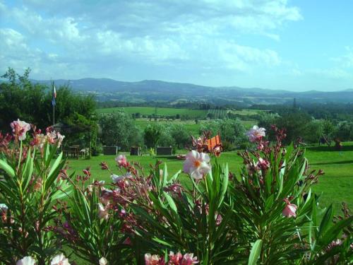 Poggio Primo - Bilocale Cavaliere