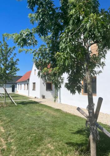 Urlaub im Grünen - wunderschönes Bauernhaus, Bad Waltersdorf (fotografie 3)
