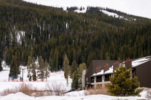 MTN View - Close to Lifts - Heated Pool - Copper