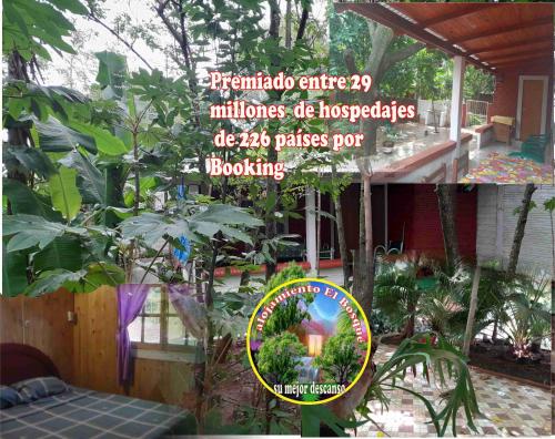 . Alojamiento El Bosque