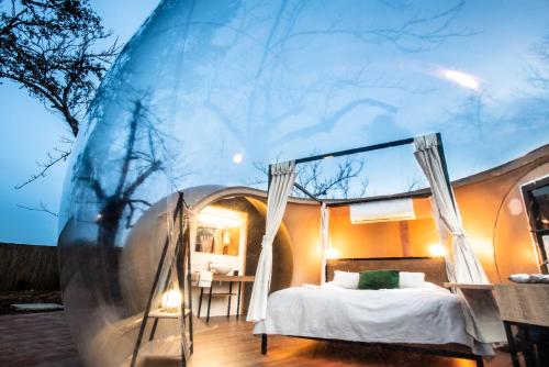 Horizonte Bubble rooms