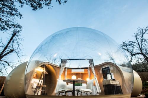 Horizonte Bubble rooms