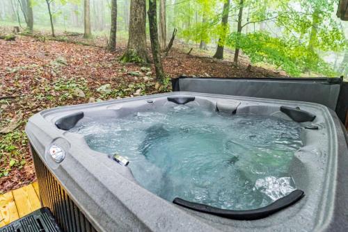 River Cabin w Great Views, Screened Porch & Fire Pit thumb 2
