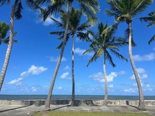 Strand, La maison de Vénus maisonnette privée à 3 min à pieds du front de mer (La maison de Venus - Petite maison creole a 3 min du front de mer - proche de la plage de la Pointe ) in Le Vauclin