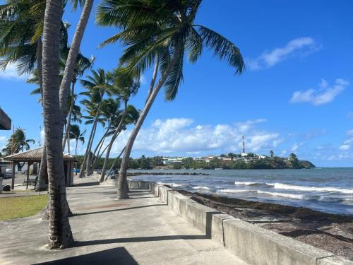Strand, La maison de Vénus maisonnette privée à 3 min à pieds du front de mer (La maison de Venus - Petite maison creole a 3 min du front de mer - proche de la plage de la Pointe ) in Le Vauclin