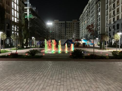 Tashkent Apartment Rent