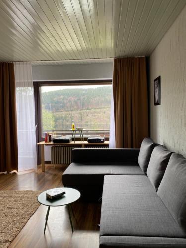 black forest apartments titisee mit privatstrand