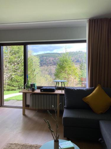 black forest apartments titisee mit privatstrand
