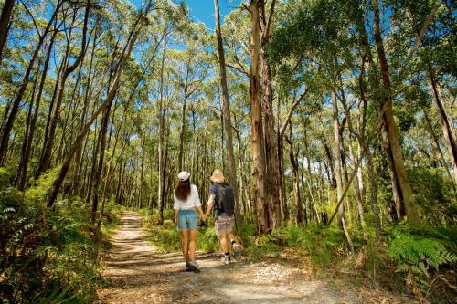 BIG4 Yarra Valley Park Lane Holiday Park