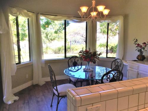 WINE TIME at Alderese Vineyards in Beautiful Amador County, Sutter Creek (fotografie 4)