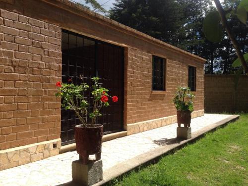 Apartment In San Cristobal De Las Casas, Wifi