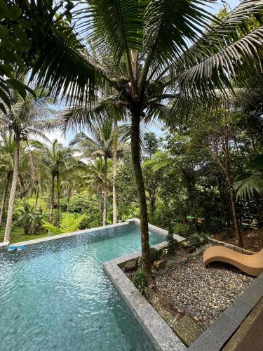 Навколишнє середовище, Elnora's Farm in Лукбан