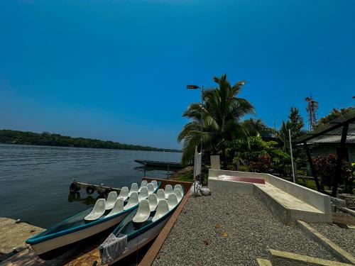 Surrounding environment, Tortuguero7 lake view in Tortuguero