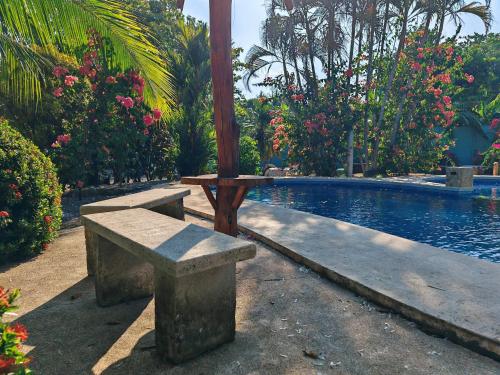 Bioluminiscencia Hostel Tours - South in 帕基拉