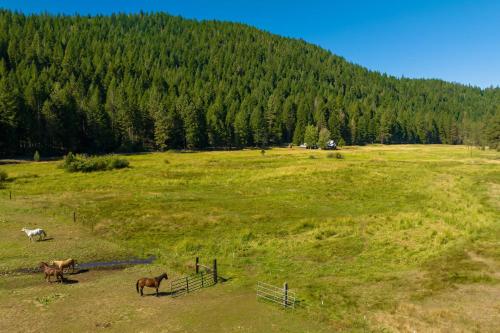 River Cabins | The Lost Sierra Ranch