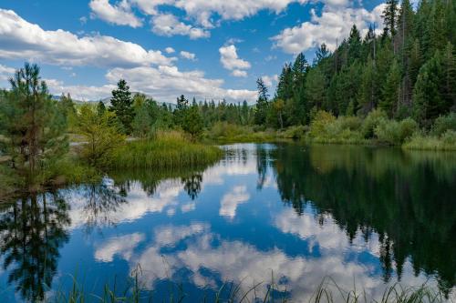 River Cabins | The Lost Sierra Ranch