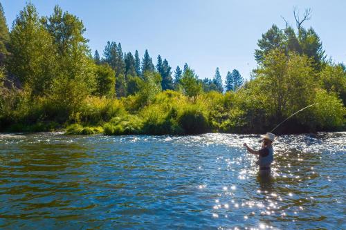 River Cabins | The Lost Sierra Ranch