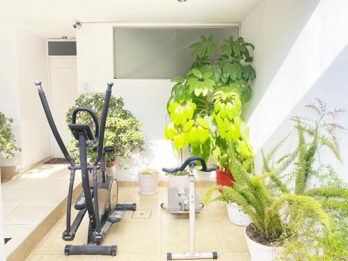 Duplex Apartment image 5