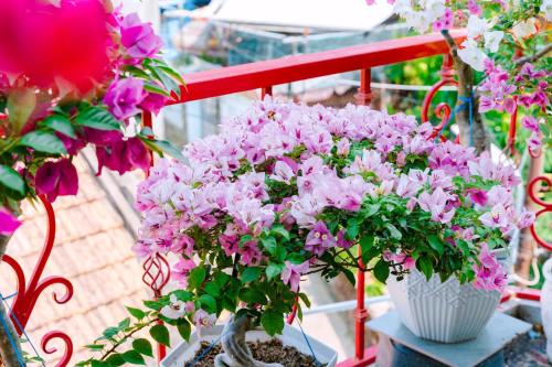 Pemandangan, Ruby Homestay Phu Yen in Tuy Hòa (Phú Yên)